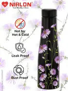 Stainless Steel Insulated Single Wall Water Bottle 