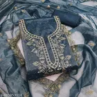 Net Punjabi/All Over Suits for Women 