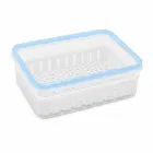 Food storage container with a removable drain plate 