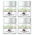 Jamalgata Powder for Hair Fall (50 g, Pack of 4)