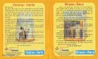 Dipan Herbal'S Rheuma-Q 100% Ayurvedic Capsule For Pain Relief 