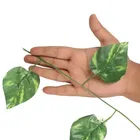 Akaar Decor Money Plant and Maple Leaf Creeper pack of 4