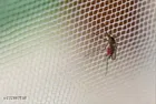 Polyester Mosquito Net 