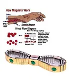 Blood Pressure Control Magnetic Bracelet, Green & Gold