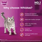 Whiskas 