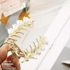 Metal Hair Clutcher for Women 