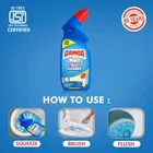 गैंडा टॉयलेट क्लीनर 1 L