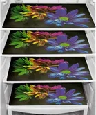 PVC Fridge Mat 