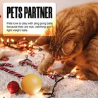 Standard Power 3 -Star Table Tennis Balls 