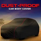 Taffeta Cover for Car, Multicolour