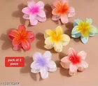 Plastic Hair Clips for Women (Multicolor, Pack of 2)