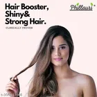 Phillauri Herbal Onion Blackseed Hair Oil 