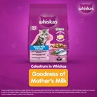 Whiskas Ocean Fish Kitten/Mother and Baby Cat Dry Food 