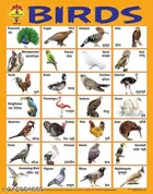 Learning Laminated Wall Chart for Kids 