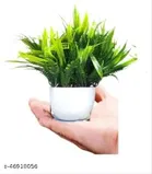 Artificial Plants with Pot 