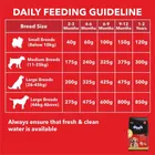 Drools Chicken and Egg Puppy Dog Food, 3 kg with Free 1.2 kg