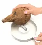 के कुडोस कोकोनट ब्रेकर