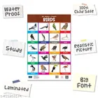 Bookford Publications My Small Chart Numbers, Birds & Fruits 