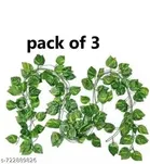 Moneyplant Garlands Plant for Women, Pack of 3 