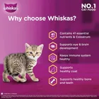Whiskas Ocean Fish Kitten/Mother and Baby Cat Dry Food 