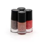 Nail Paint Gel/Glossy Finish Multipack Form Festive Edition 