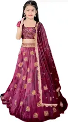 Net Embroidered Semi Stitched Lehenga for Girls 