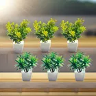 Akaar Mini Plants for Decoration Pack of 6