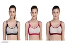 Polycotton Sports Bra for Women 