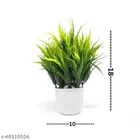Artificial Plants with Pot 