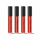 Liquid Matte Lipstick 