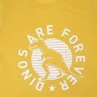 Round Neck Printed T-Shirt for Boys 