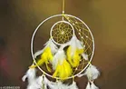Feather Wall Hanging Dream Catcher 