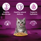 Whiskas Adult Chicken Cat Food 7x80g