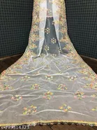 Embroidered Rajasthani Net with Aari Work 