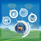 Nestle Everyday Dairy Whitener 400 g 