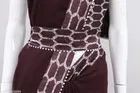 Elegant Saree for Women 
