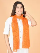 Net Self-Design Dupatta for Women 