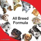 Dogs and Puppy Biscuits, Specially for Treat ,250gm, 