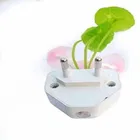 Mushroom Shape Automatic Off/On LED Magic Night Lights 