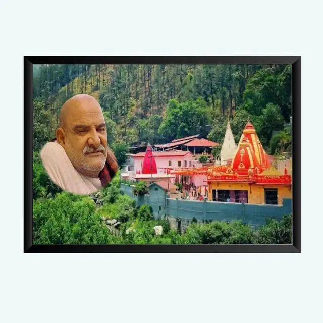 Neem Karoli Baba Wall Photo Frame (Multicolor, 5x7 inches)