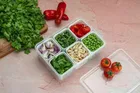 6 Section Food Storage Container 