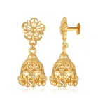 Alloy Earrings for Women 