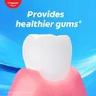 कोलगेट मैक्सफ्रेश प्लैक्स एंटीबैक्टीरियल माउथवॉश - 250 ml 