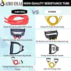 Heavy Duty Dual Spring Tummy Trimmer With Resistance Bands For Full Body Workout