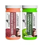 Park Daniel 100% Pure & Natural Hibiscus Powder & Pudina Powder 