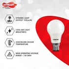 Eveready 9 W Standard B22 Led Bulb 