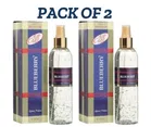 Blueberry Premium Room Air Freshener (250 ml, Pack of 2)