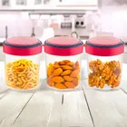 Ringo Container 3pc Set 500 ml 