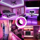 LED Rope Light 