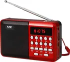 Portable Bluetooth Speaker with Radio  